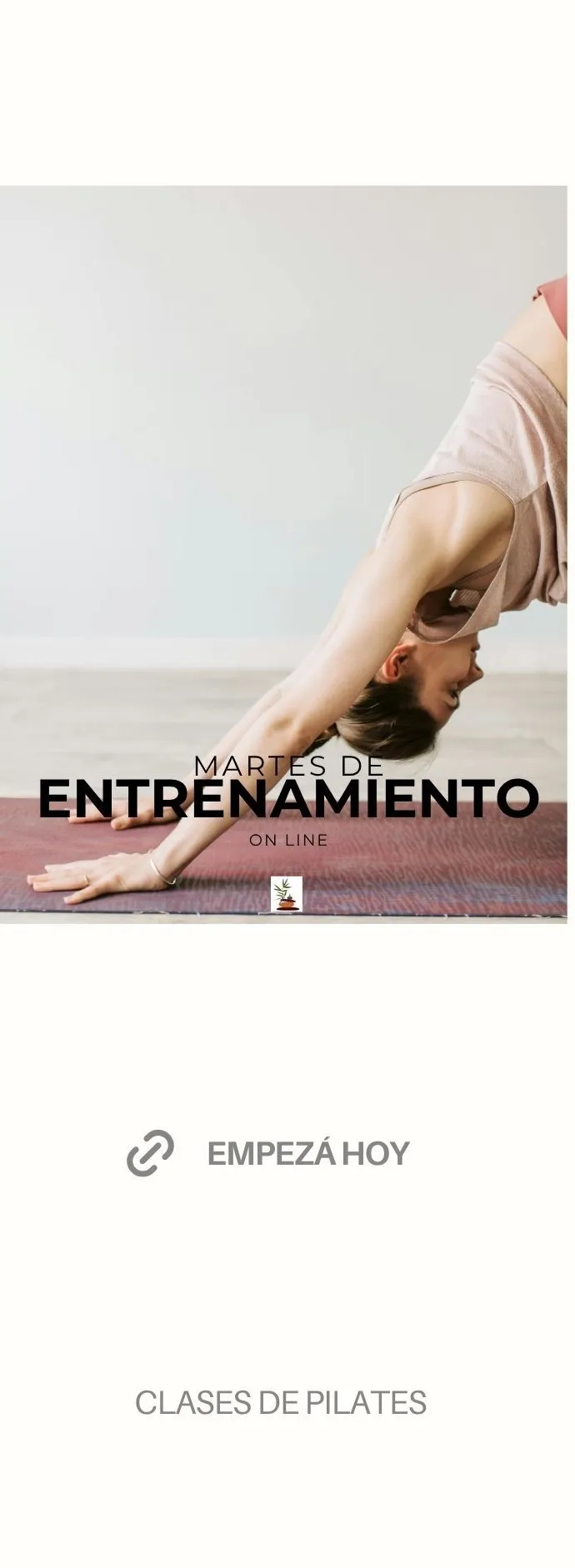 ENTRENAMIENTO ON LINE