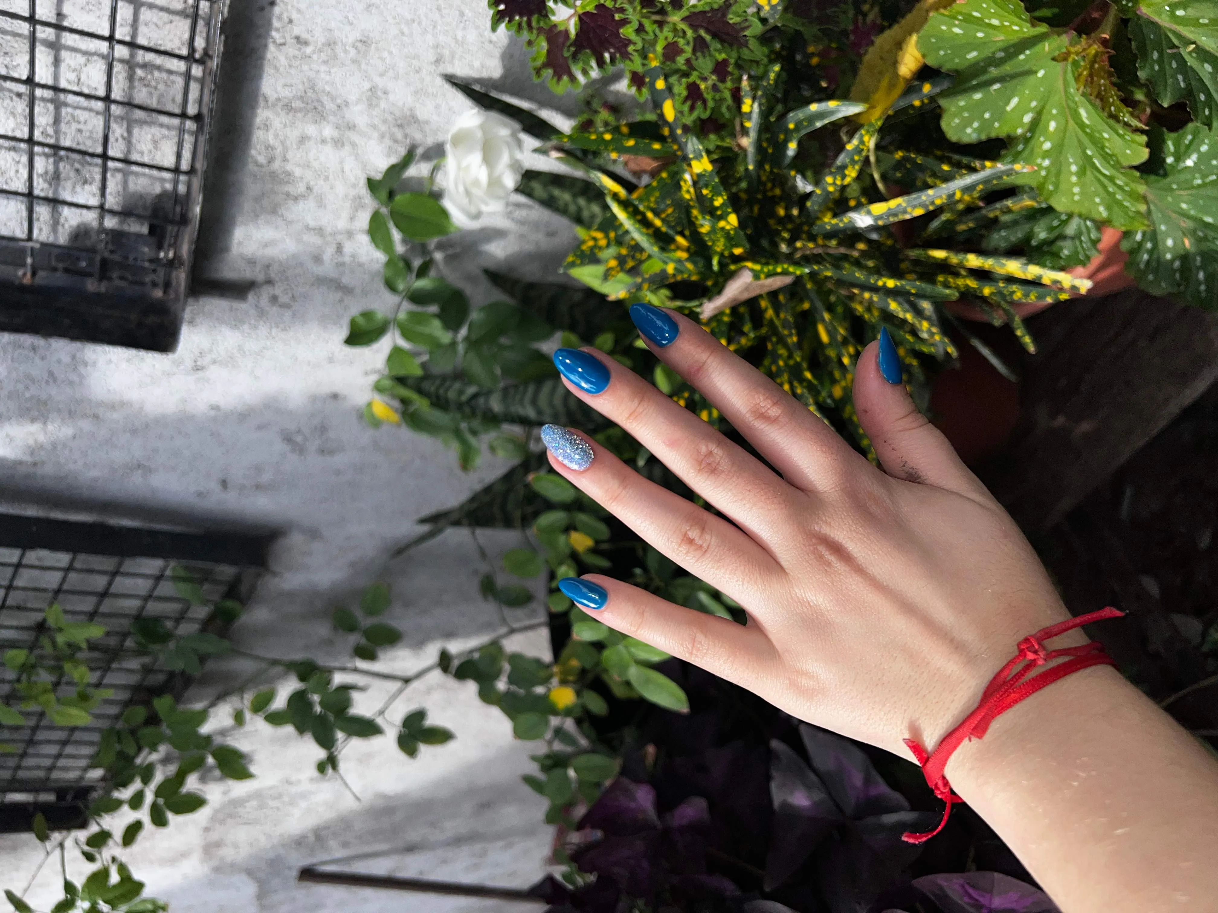 Esmaltado semipermanente 